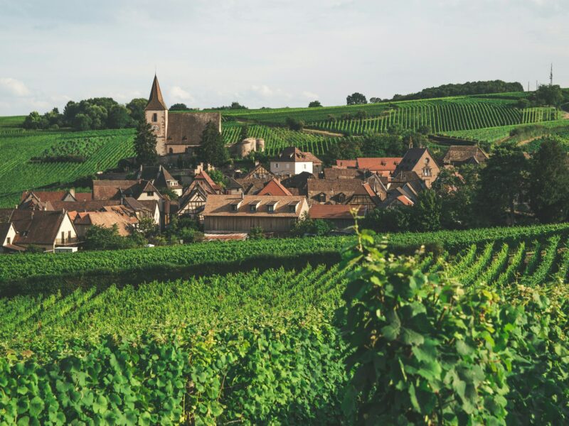 Village alsacien à colombages entouré de vignobles, Route des Vins d'Alsace