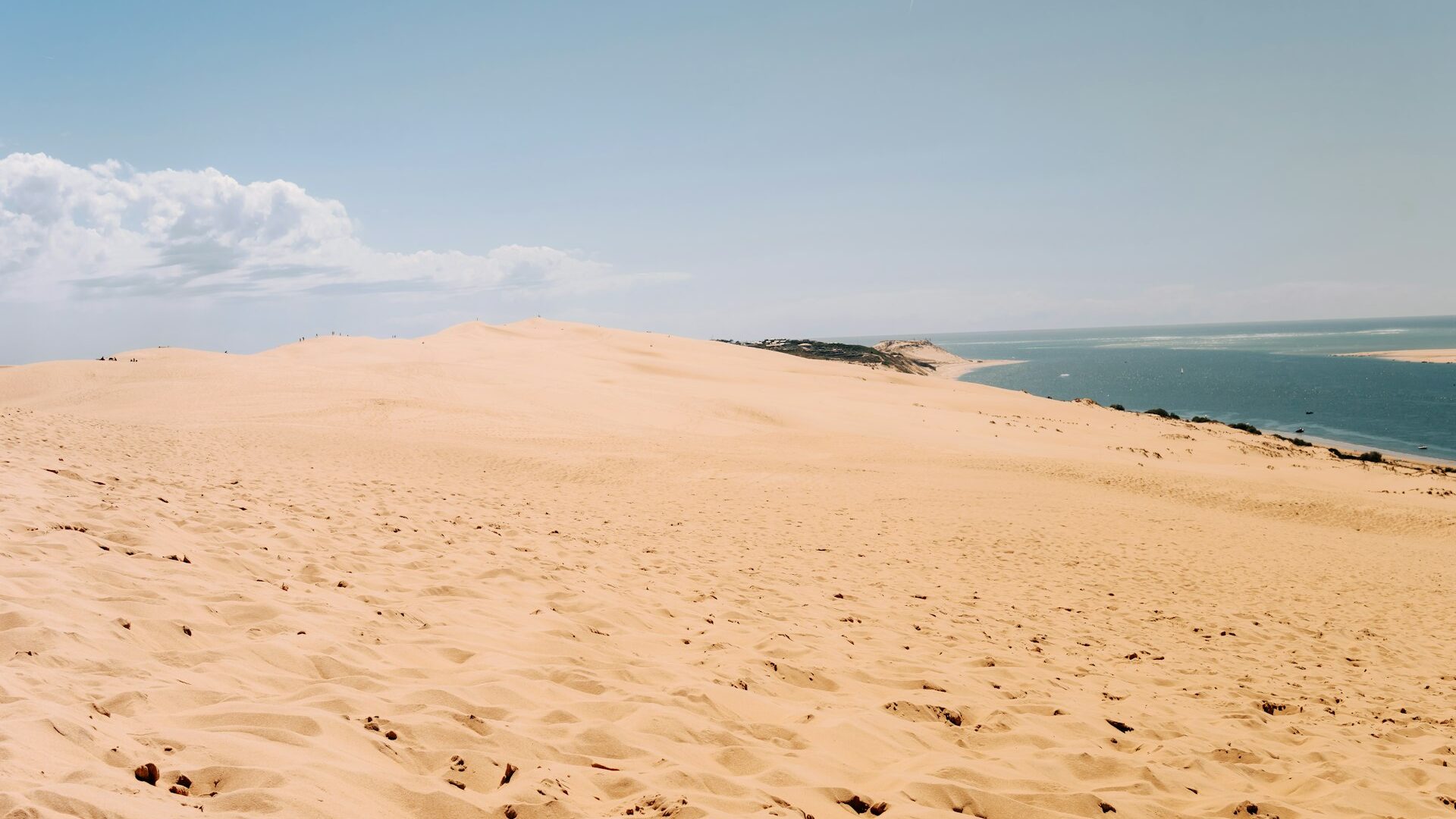 Dune du Pilat surplombant l'océan, plus haute dune d'Europe au Bassin d'Arcachon